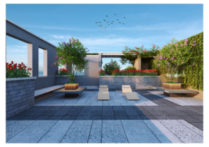 RoofTopRajanigandha