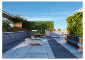 RoofTopRajanigandha1